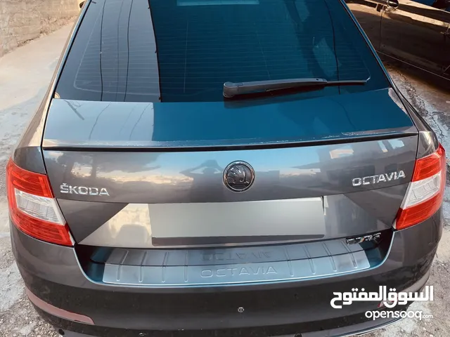 Used Skoda Octavia in Hebron