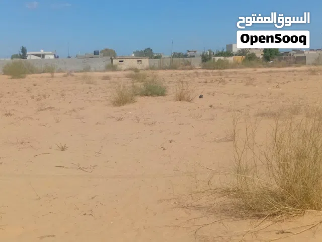 قطعة أرض في وادي الربيع القيو