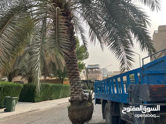 الزارع ابوسجاد التمیمی الاهوازی
