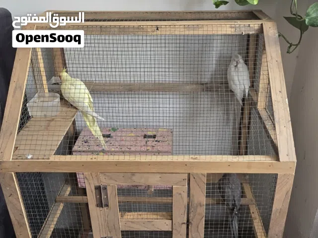 اقفاص وبيت طيور ومرجوحة