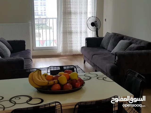 80m2 1 Bedroom Apartments for Rent in Istanbul Esenyurt