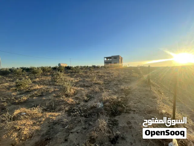 Farm Land for Sale in Madaba Thiban