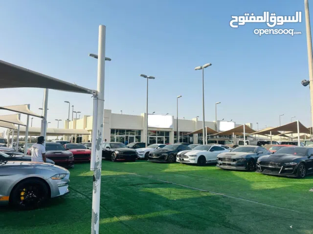 Well Established Car Business for Sale - Souq Al Haraj Sharjah