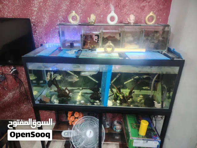 حوض سوكاريت 10مل