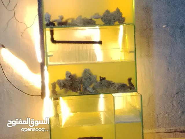 حوض سمك مع كامل معدادو