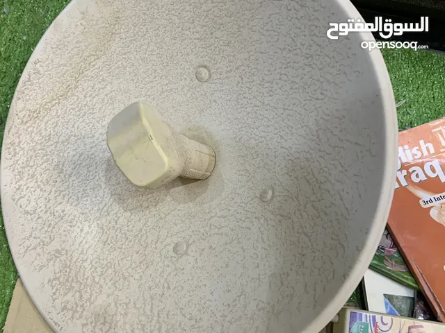 نانو مع صحن