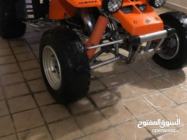 مطلوب بقي بانشي او رابتر