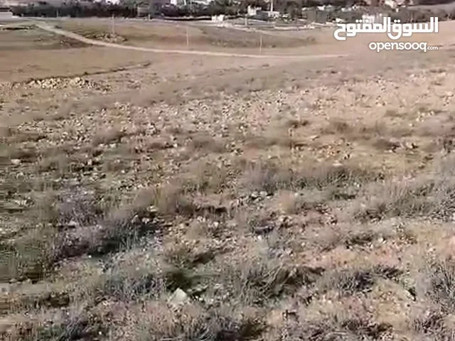 Mixed Use Land for Sale in Tafila Al-Ayes