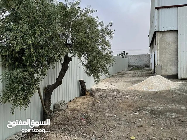 هنجر صناعي للايجار