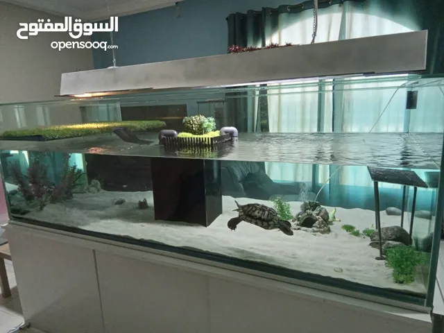 Very Large Aquarium (250cms L x 120cms H)