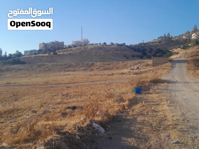 Residential Land for Sale in Amman Mobes
