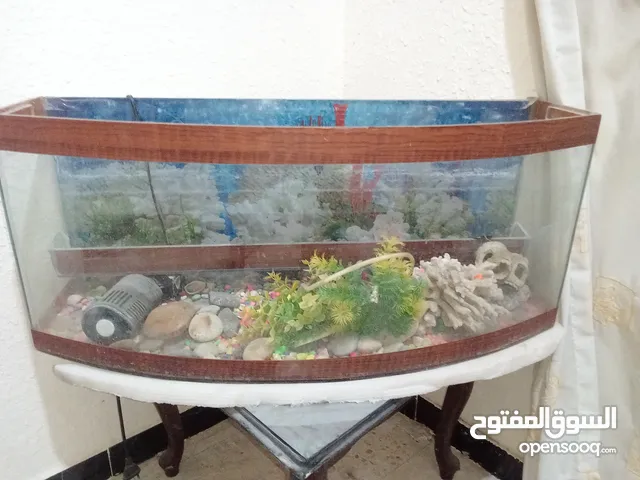 حوض سمك حجم كبير
