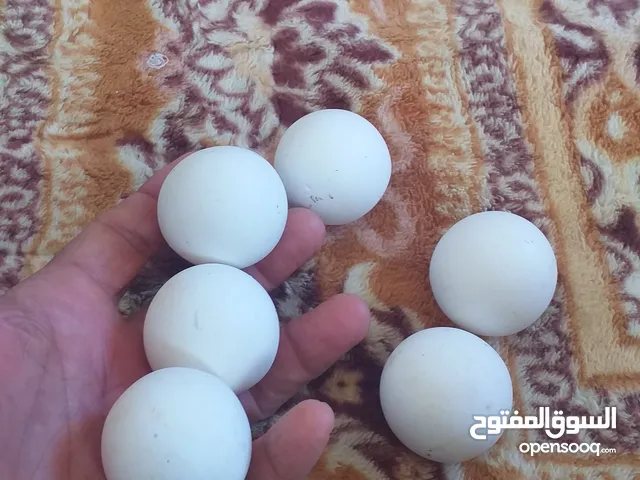 الماس سداسي للبيع