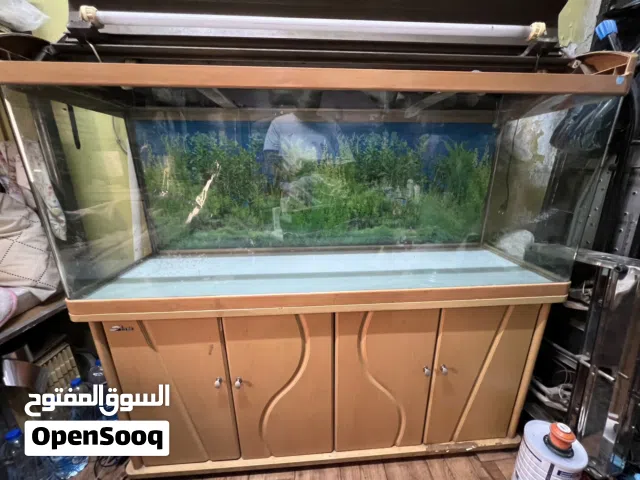 Fish Aquarium  length is 5.2 or width 1.5 للبيع حوض  use