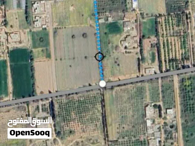 Farm Land for Sale in Zawiya Other