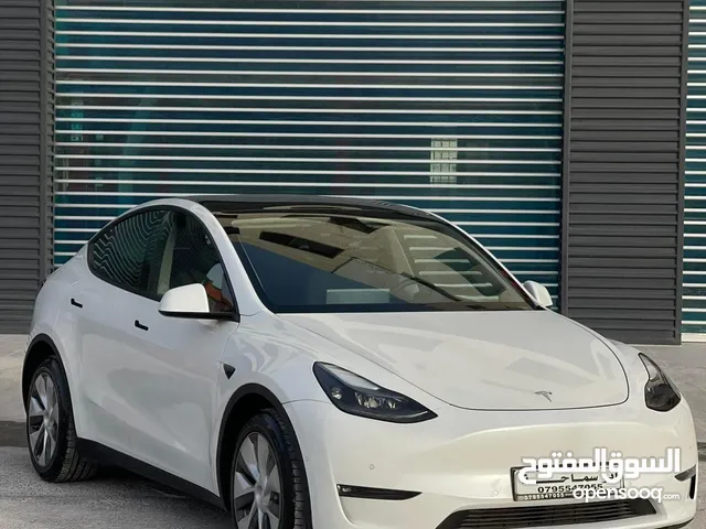 TESLA MODEL Y2022