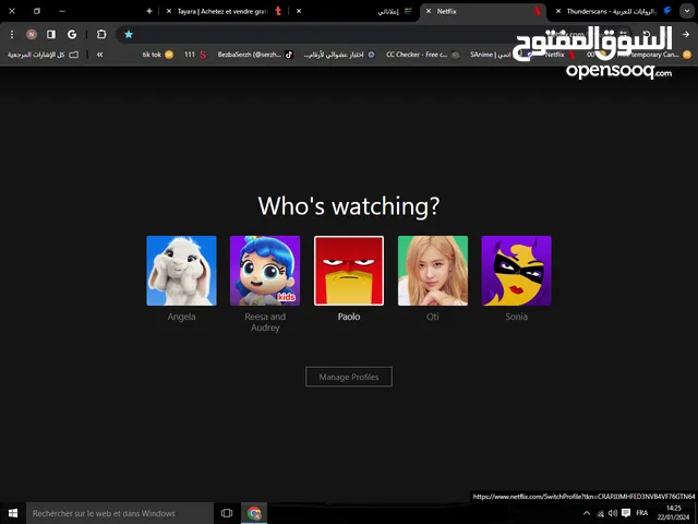 Netflix Accounts and Characters for Sale in Kasserine