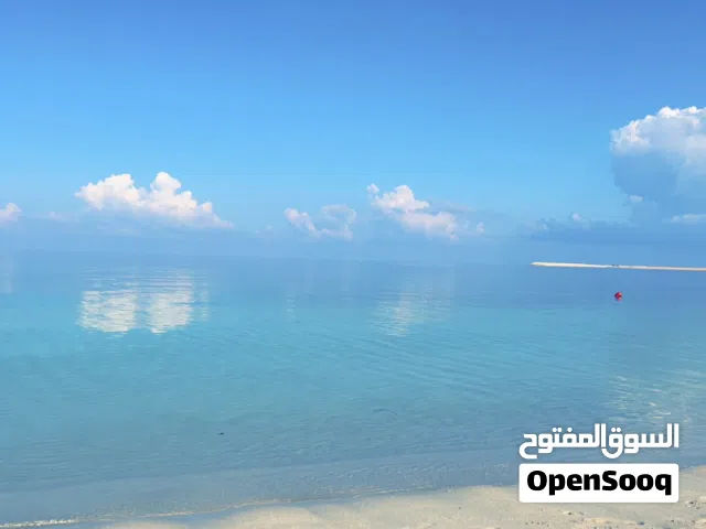 شالهات للايجار وللبيع في قرية النخيل