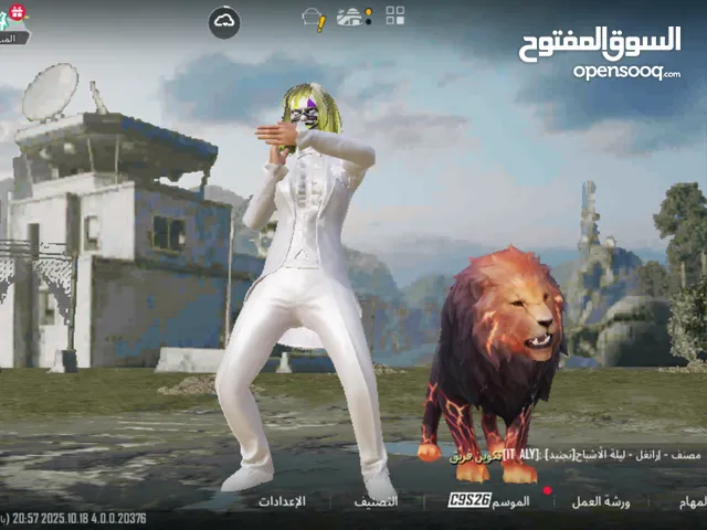 Pubg Accounts and Characters for Sale in Tulkarm