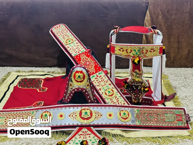 تاكم 10 ذهبي بي الكامل