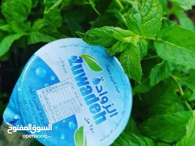 شركة الزوادة للمياه النقية