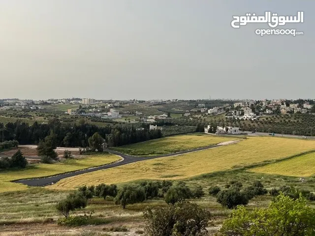 اراضي سكنية (سكن ريفي -  بأحكام خاصة ) طريق المطار _ ناعور -ام البساتين من المالك مباشرة