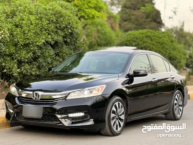 Used Honda Accord in Amman