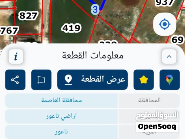 Residential Land for Sale in Amman Naour