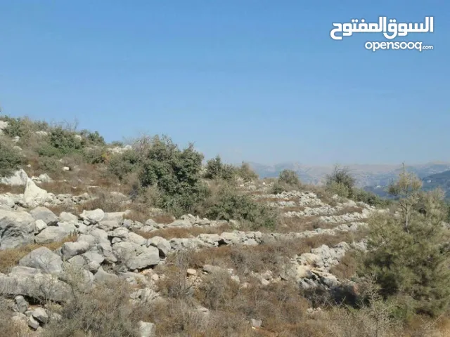 Mixed Use Land for Sale in Chouf Other