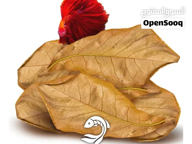 ورق لوز مجفف لبيئه طبيعيه امنه للاسماك