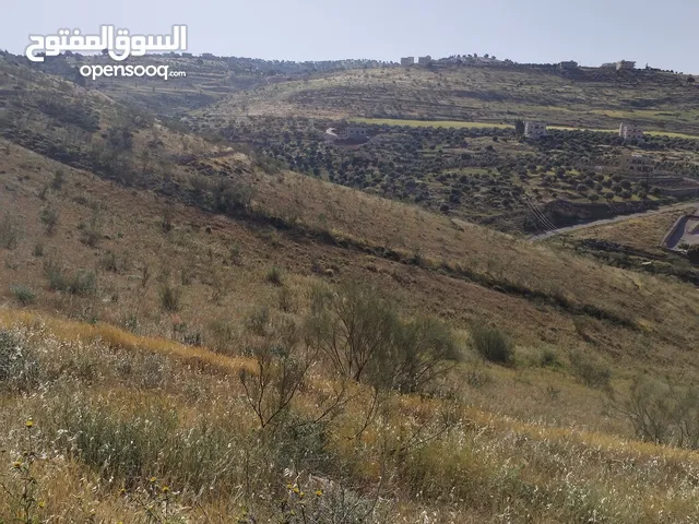 Farm Land for Sale in Jerash Marsa'