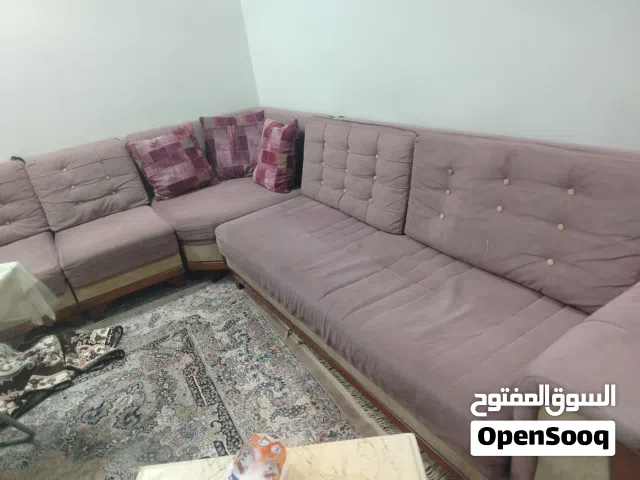 تخم ديوان بحاله جيده و سعر مناسب