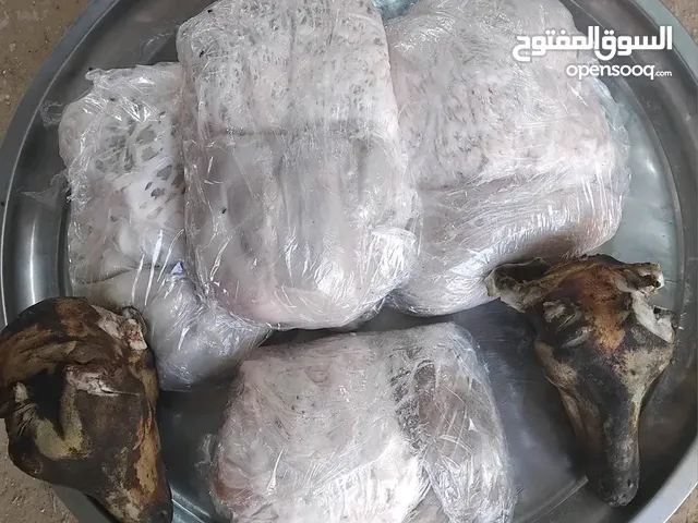 يوجد الدينا بطون خروف وطني حواله نظيفة ومخروطة عبي حشوتك طول. صغار بي 60 دينار وكبار بي 70دينار