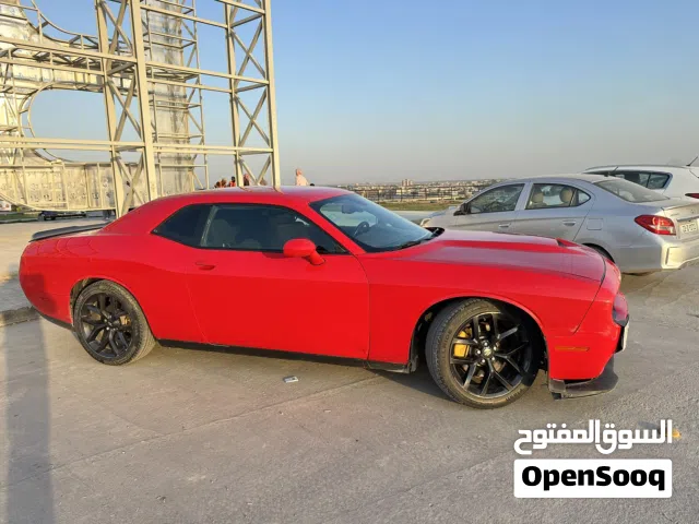 Used Dodge Challenger in Babylon