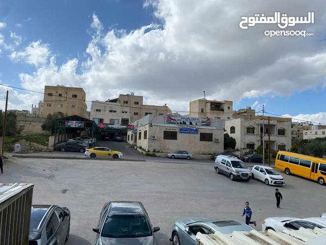 مول للإيجار