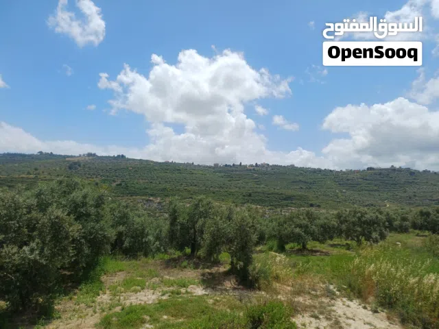 Residential Land for Sale in Sidon Other