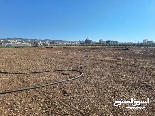 Mixed Use Land for Sale in Jenin Other