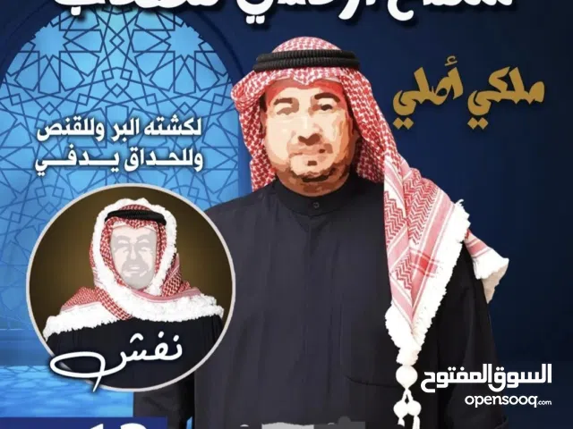  Chmagh - Hetta - Headband for sale in Hawally