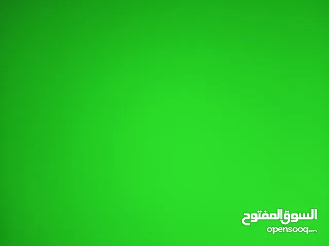 محي الدين الزبير محمد فضل المولى