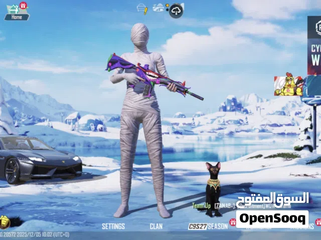 PUBG FULL HEAVY ACCOUNT FOR SALE