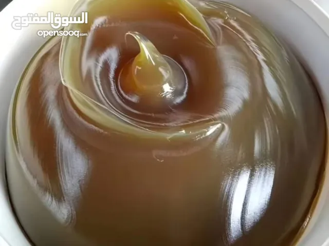 مشروع جييد لصناعة شحم السيارات