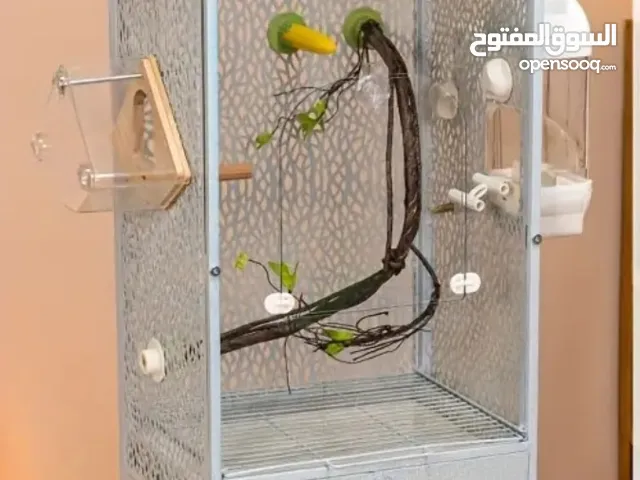 قفص للعصافير