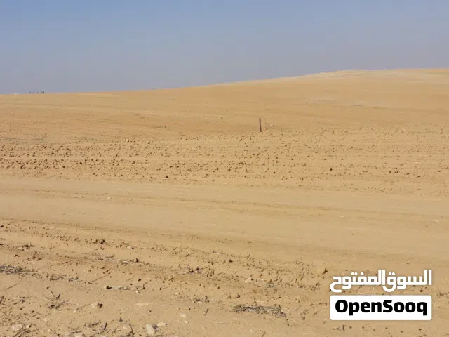 قطعة أرض في ذيبان حوض رجيم سليم زراعية تربة زراعية حمراء مساحة  خمسة دونم َعشرون متر