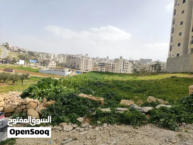Residential Land for Sale in Bethlehem Dar Salah
