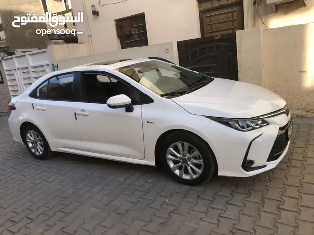 كورلا شكل الخليجي هايبرد 2024