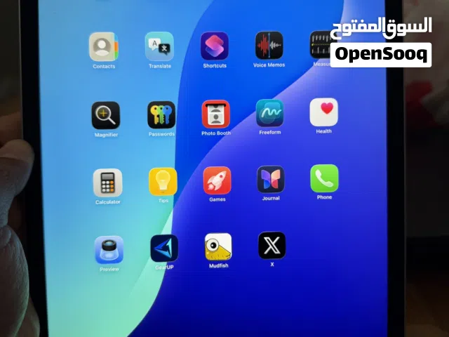 IPAD PRO M2 256gb 5g Cellular + WIFI