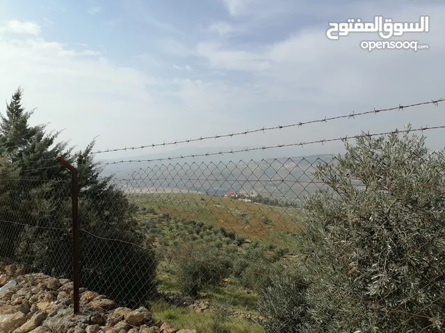 Farm Land for Sale in Jerash Other