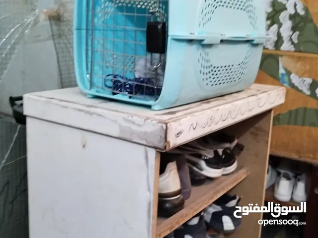 Cat cage for sale