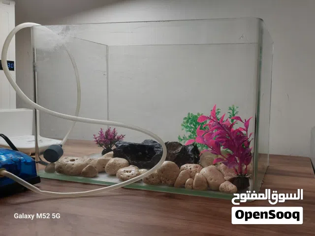 حوض سمك مع الزينه و الأكسجين    الأكسجين