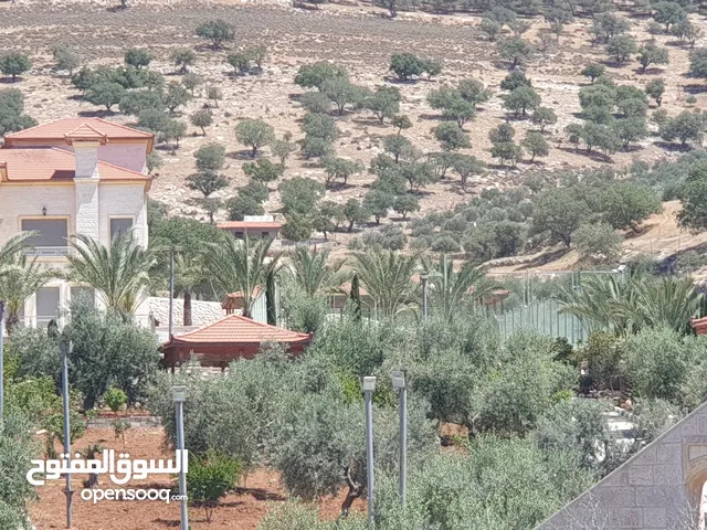 ارض زراعية على شارعين في صروت الصوان قرب الفلل و منتزه الامير هاشم قرب بيرين و شفا بدران بسعر مغري